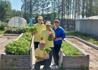 «Огород в ладошке»